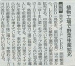 20130506日経新聞2.jpg
