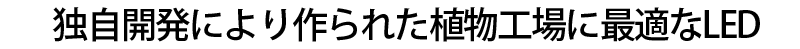 独自開発により作られた植物工場に最適なLED