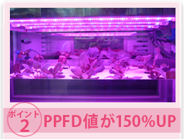 PPFD値が150％UP